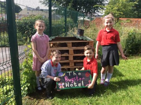 Donaghmore has some new luxury accommodation!